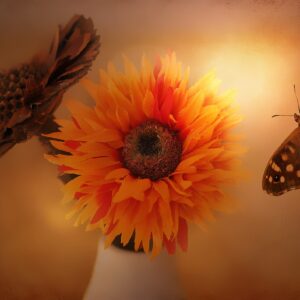 Flower 678176 Scaled 300x300